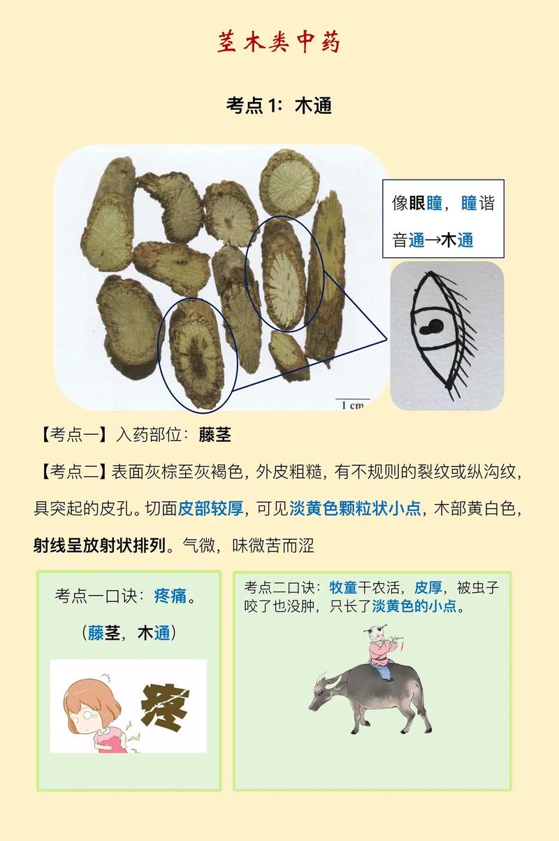 梵安印度代购希爱力是真的吗？避坑指南与正品鉴别全攻略